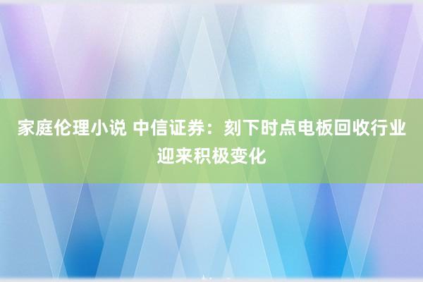 家庭伦理小说 中信证券：刻下时点电板回收行业迎来积极变化