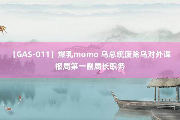 【GAS-011】爆乳momo 乌总统废除乌对外谍报局第一副局长职务