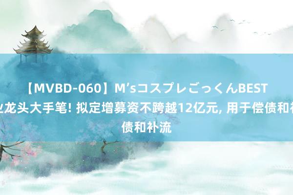 【MVBD-060】M’sコスプレごっくんBEST 种业龙头大手笔! 拟定增募资不跨越12亿元, 用于偿债和补流