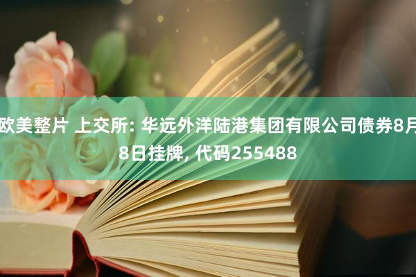 欧美整片 上交所: 华远外洋陆港集团有限公司债券8月8日挂牌, 代码255488