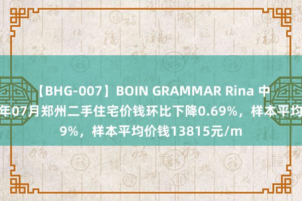 【BHG-007】BOIN GRAMMAR Rina 中指商酌院：2024年07月郑州二手住宅价钱环比下降0.69%，样本平均价钱13815元/m