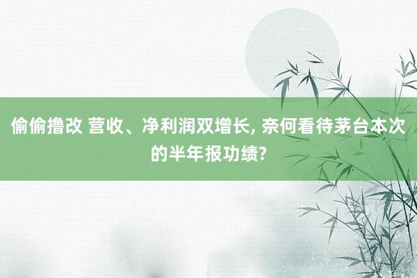 偷偷撸改 营收、净利润双增长, 奈何看待茅台本次的半年报功绩?