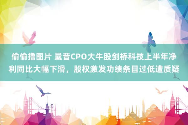 偷偷撸图片 曩昔CPO大牛股剑桥科技上半年净利同比大幅下滑，股权激发功绩条目过低遭质疑