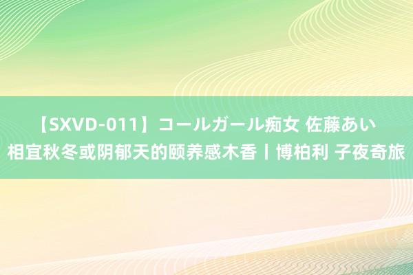 【SXVD-011】コールガール痴女 佐藤あい 相宜秋冬或阴郁天的颐养感木香丨博柏利 子夜奇旅