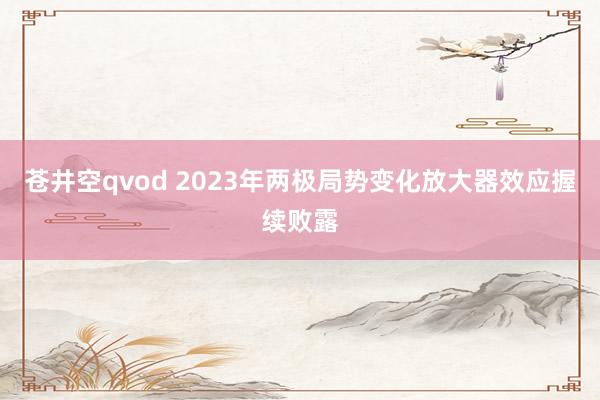 苍井空qvod 2023年两极局势变化放大器效应握续败露