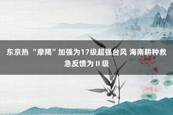 东京热 “摩羯”加强为17级超强台风 海南耕种救急反馈为Ⅱ级