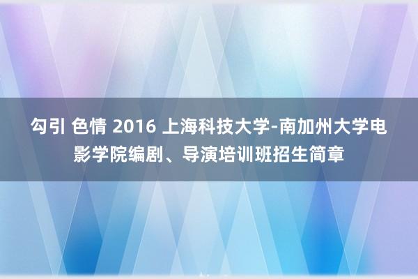 勾引 色情 2016 上海科技大学-南加州大学电影学院编剧、导演培训班招生简章